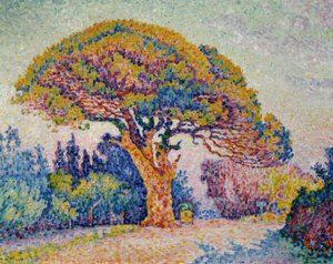 Signac, Pine of Bertaud