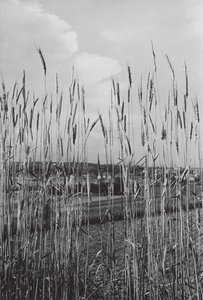 In the Bavarian Countryside by Paul Wolff