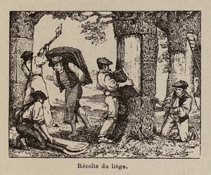 Cork Harvest by Paul de Laubadere