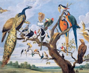 Concert of birds, by Paul de Vos by Paul De Vos