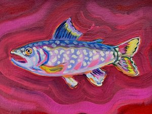 Vibrant Brook Trout