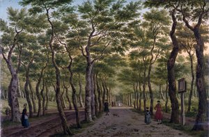 The Herepad in the Haagse Bos