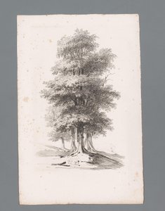 Group with Five Trees by Paulus Lauters