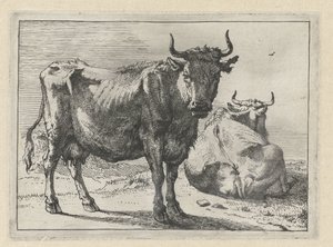 A Standing and a Lying Cow by Paulus Potter
