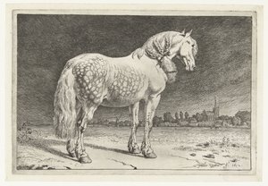 The Frisian Horse
