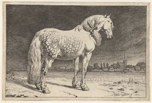 The Frisian Horse