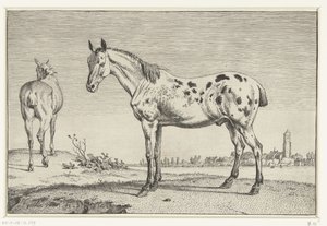 The Cropped Horse
