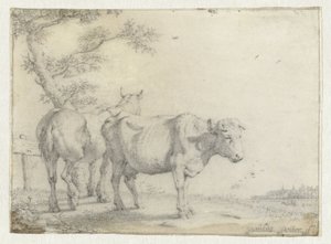 Horse and a Cow by a Tree