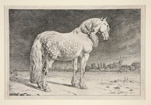 The Friesland Horse