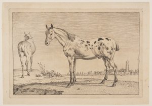 The Neighing Horse, from Series of Horses