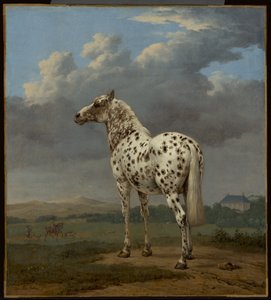 The "Piebald" Horse, c.1650-1654