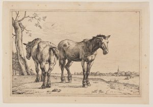 The Plough Horse, from Series of Horses