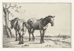 Two Plow Horses by Paulus Potter