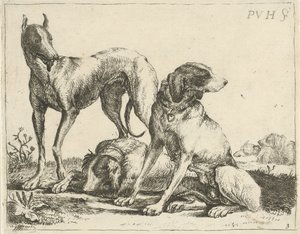Three Dogs (Various Dogs) by Pauwels van Hillegaert