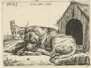 Lying Dog on a Chain (Various Dogs series) by Pauwels van Hillegaert