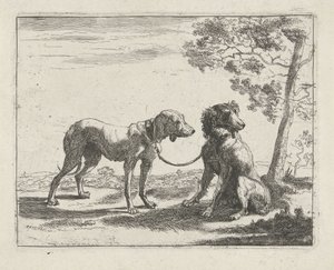 Two Dogs (series: Dogs) by Pauwels van Hillegaert