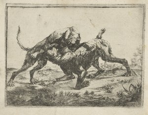 Fighting Dogs by Pauwels van Hillegaert