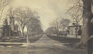 Hillhouse Avenue, 19th century