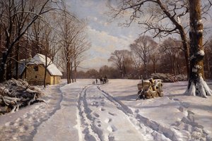 A Sleigh Ride Through a Winter Landscape