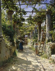 In the Shadow of an Italian Pergola, A Warm Afternoon in Anacapri