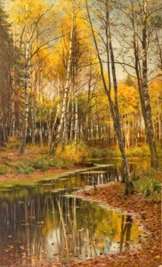 Birch Forest in Autumn Light