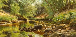 P. Mönsted, Sunny Forest Stream