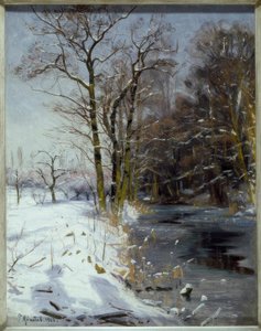 Sunny Winter Day