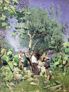 The Olive Harvest