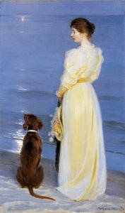 Summer Evening at Skagen. The Artist