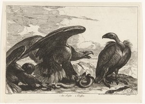 Vulture and an Eagle with a Snake (Birds from the Menagerie of Versailles)