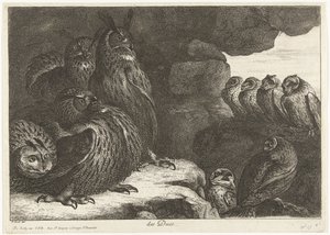 Owls in a Cave