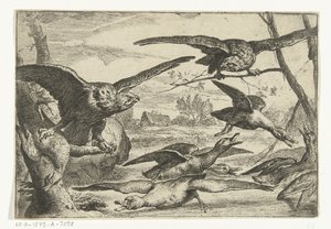 Birds of Prey