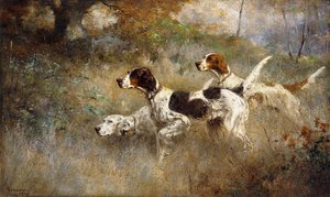 The Setters Three, Bob, Bill and Ginger on a triple point by Percival Leonard Rosseau