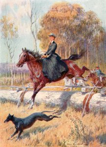 Kangaroo Hunting