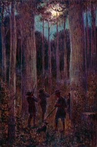 The Australian Forest at Night, "Mooning" Opossums