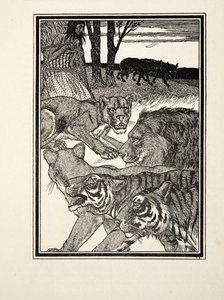A Grateful Lioness, from A Hundred Anecdotes of Animals, pub. 1924 by Percy J. Billingshurst