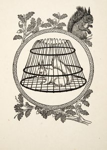 A Refugee Squirrel, from A Hundred Anecdotes of Animals, pub. 1924