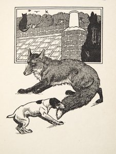 Fox Chasing