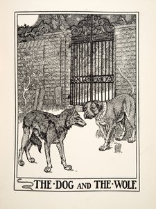 The Dog and the Wolf, from A Hundred Fables of Aesop, pub.1903