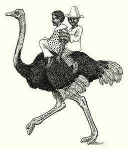 Ostrich riding by Percy James Billinghurst