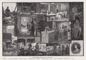 The Haddock from the Sea to the Table by Percy Robert Craft