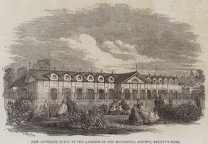 New Antelope House in the Gardens of the Zoological Society, Regent