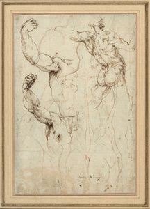 Study of a Nude Seen from the Back, and Two Studies of an Arm (recto); Nude Seen from the Back, with Subsidiary Studies of a Shoulder and Leg (verso) by Perino del Vaga