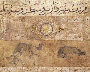 A Spotted Wolf and a Hyena