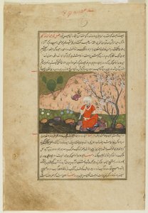 A man by the edge of a stream