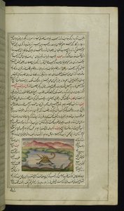 A Tortoise Carries a Scorpion on Its Back Across a River from Lights of Canopus