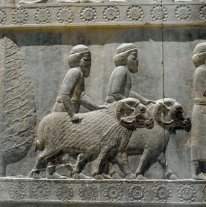 Sogdians Bring Gifts to Darius I. Reliefs of the Eastern Staircase of the Apadana by Persian School