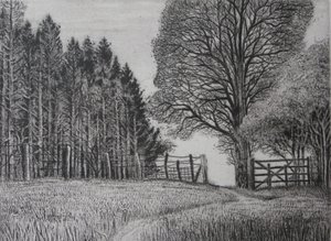 The Forest Path - Spring by Peter A Ford