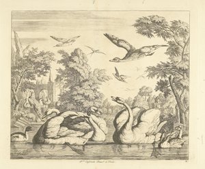 Three Swans and Other Birds by a Pond (Various Birds)