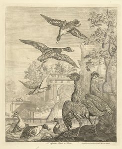 Ducks and Herons at a Bird Pond by Peter Casteels (III)